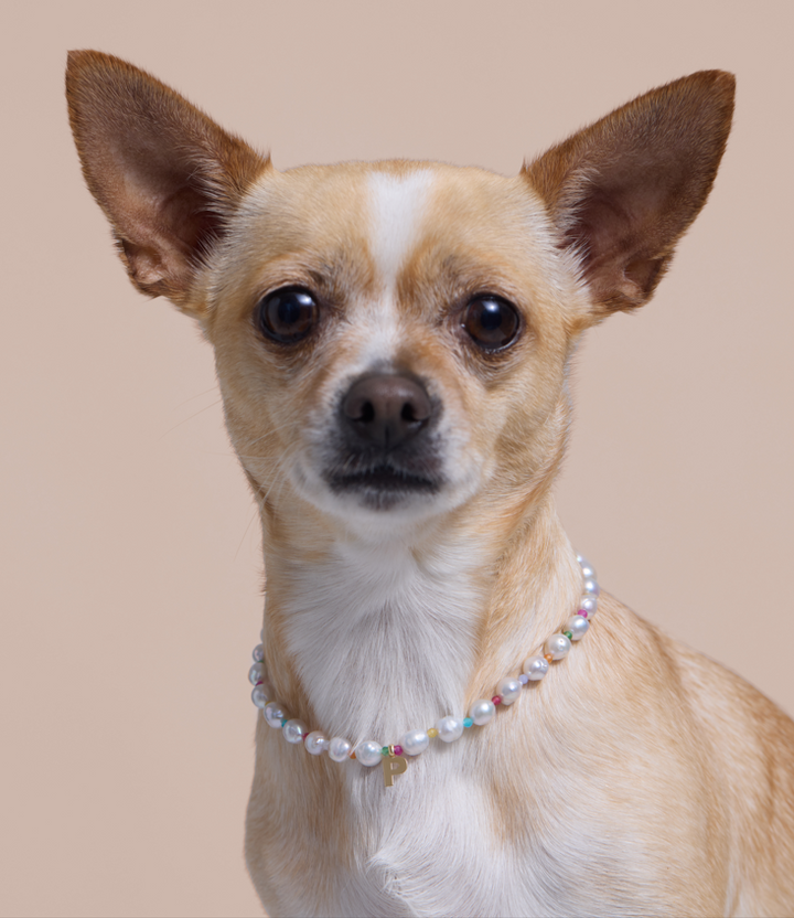 Collar oro perlas Baroque tutti inicial